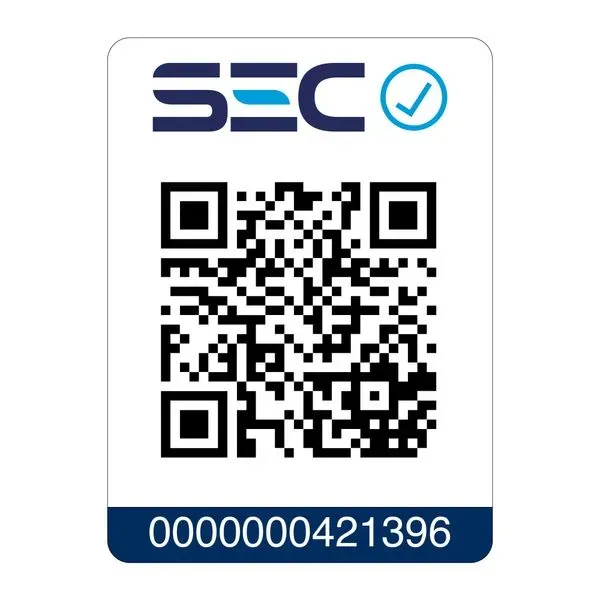 PLANCHA A VAPOR MADEMSA CON BASE DE CERÁMICA Y VAPOR VERTICAL MIR20 GRIS - Imagen 8