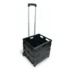 CARRO DE COMPRAS PLEGABLE REJILLA NEGRO COTIDIANA 20KG